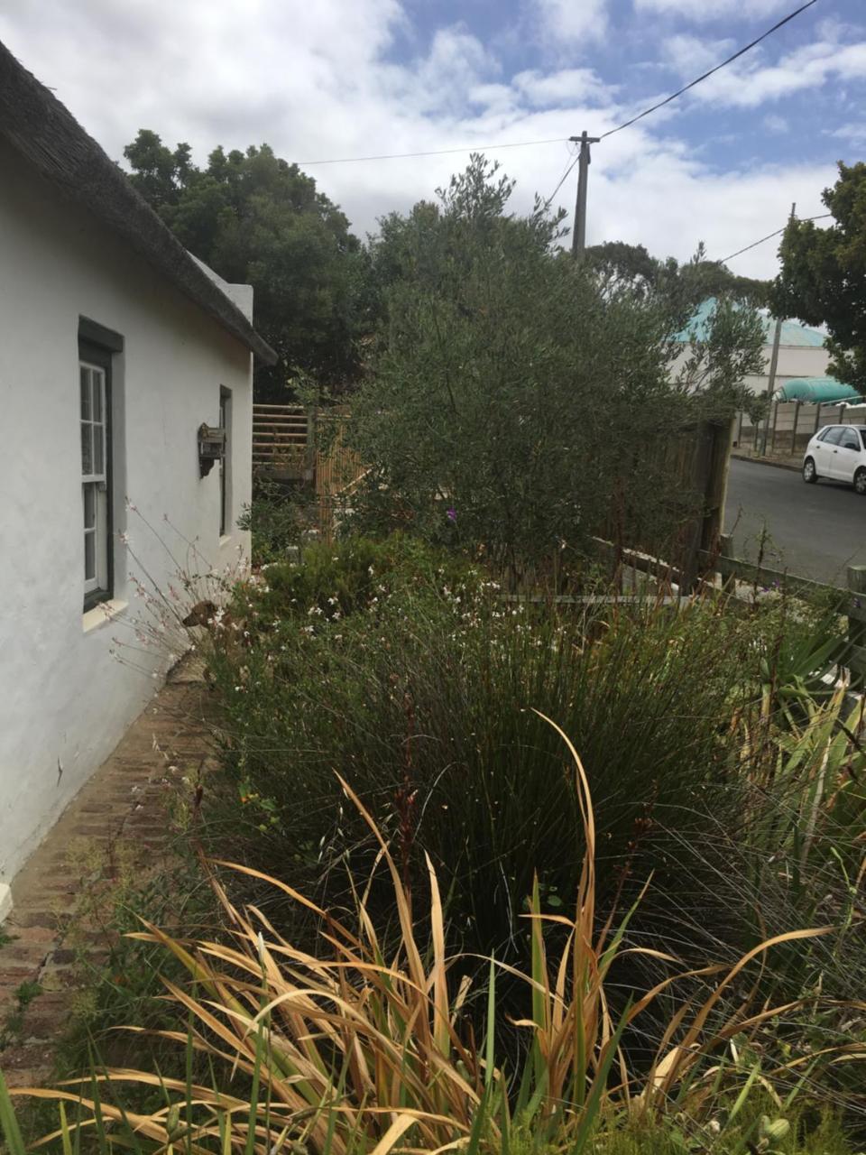 بريداسدورب Carneddie Cottage - Main المظهر الخارجي الصورة
